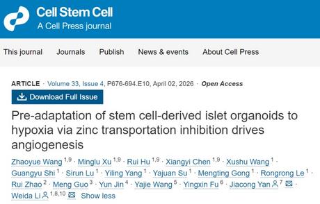 我国科学家攻克糖尿病细胞治疗三大挑战