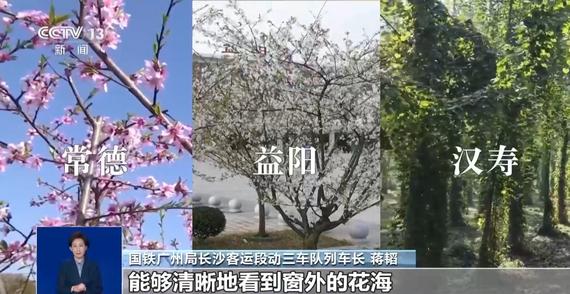 春日限定持续上新 乘开往春天的列车赏春日胜景