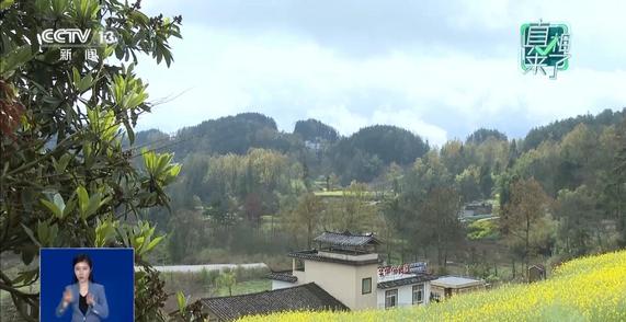 为博眼球发视频造谣村里有老虎 警方：依法查处