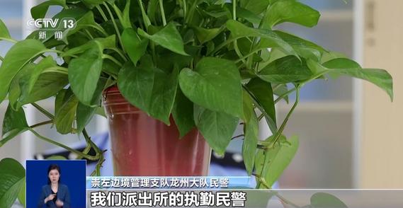 两少年非法入境越南牵出跨境偷渡黑色链条 中越合力追查→