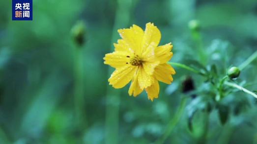 家国永念丨天地英雄气，千秋尚凛然