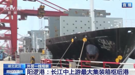 以港兴城 以通促贸 湖北这样成为外贸“中转枢纽”
