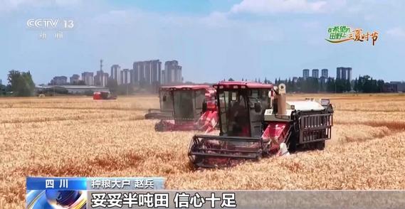 稻麦同框、北斗导航 智慧农机助力夏粮丰收