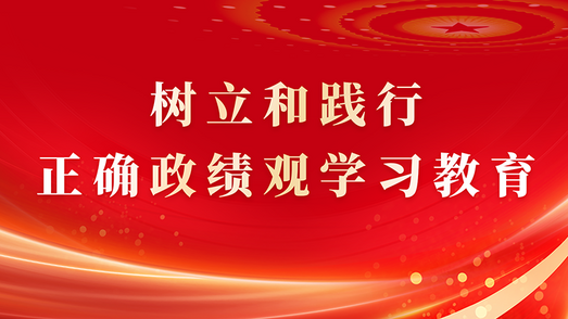 树立和践行正确政绩观学习教育