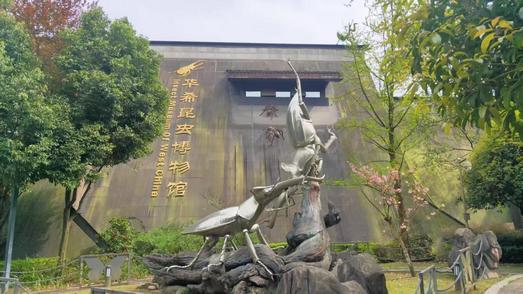 馆不大藏品却有百万+！这个博物馆藏着不少神奇动物