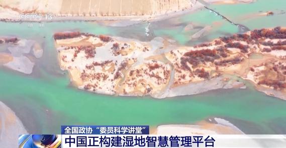 湿地面积亚洲第一！中国正构建湿地智慧管理平台
