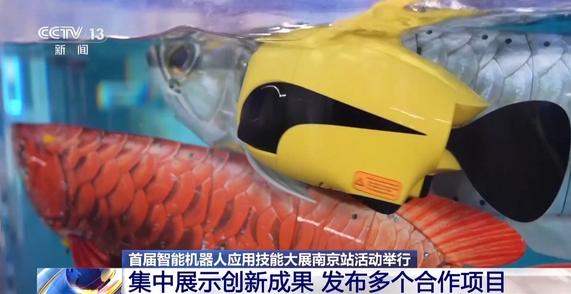 从实验室走进千行百业 上百款智能机器人同台秀绝活