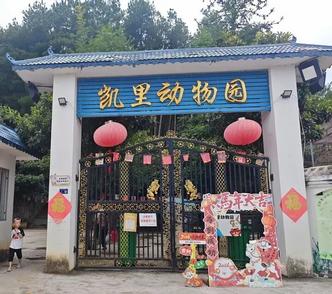 “袖珍”“寒酸”的动物园，走红一年后怎样了？