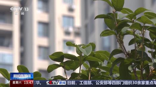 空房出租托管可得高额回报？当心合同有诈！