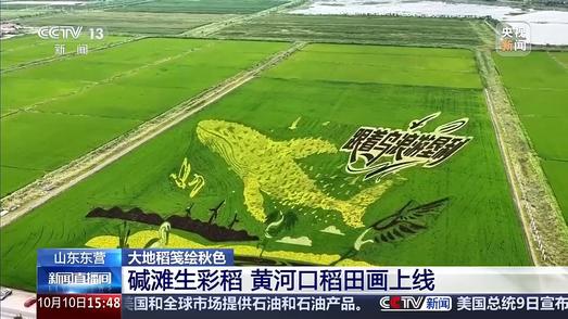 大地为卷，彩稻作笔！全国各地稻田画上新