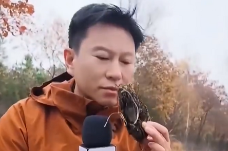 老虎与山林的“共享法则”