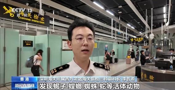 打击走私违法 西九龙站口岸截获有毒“异宠”398只