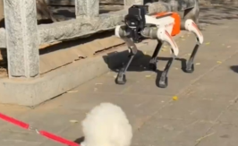机器狗在小狗面前后空翻