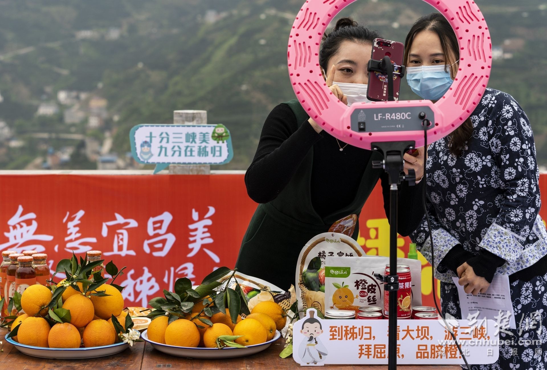 网红达人开启田园直播间.通讯员 供图