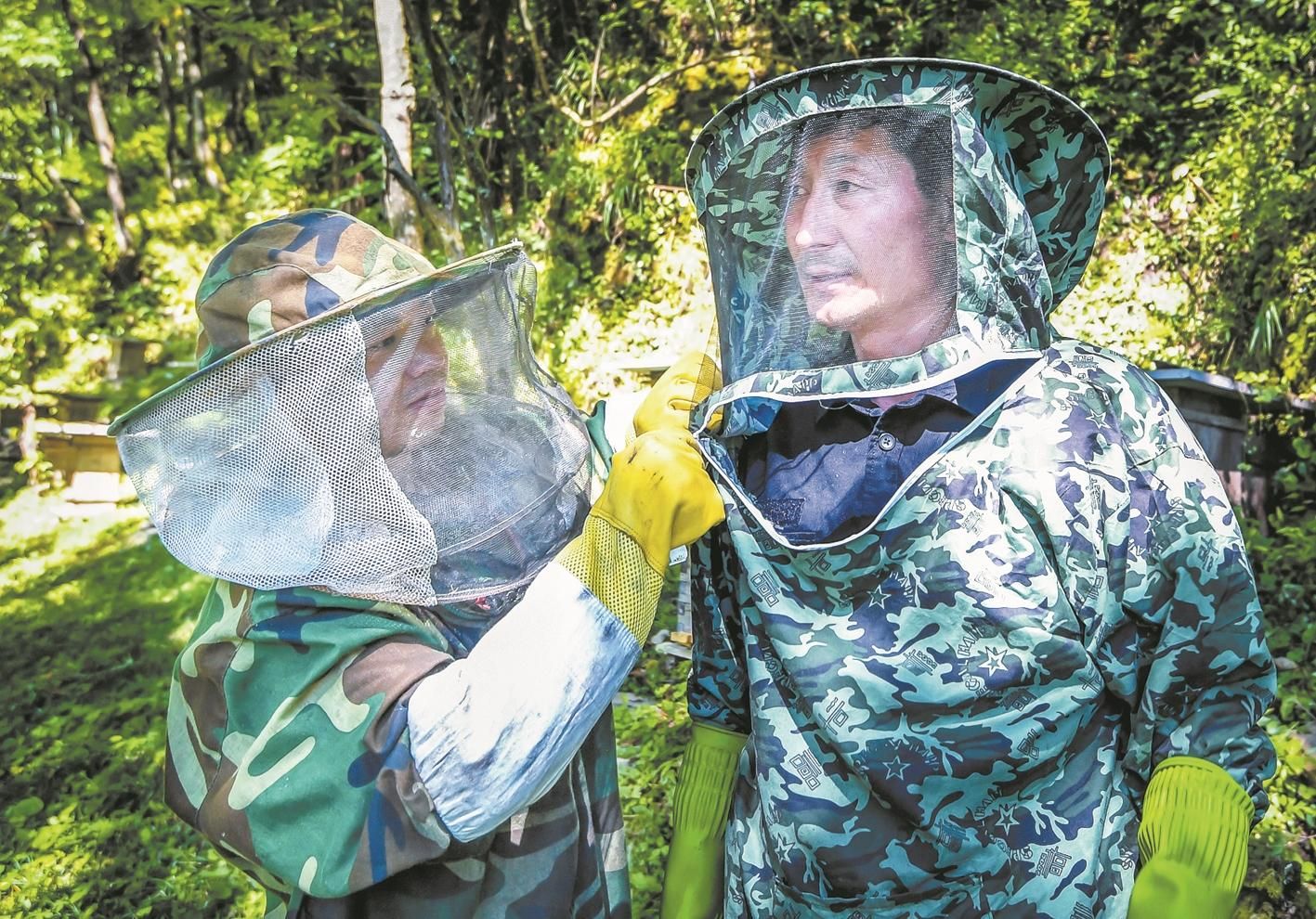 神农架养蜂人峭壁探蜜