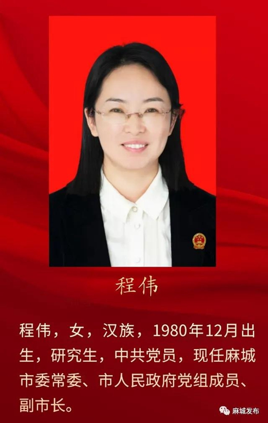 裴永波当选麻城市人民政府市长,叶旭,程伟,张星,陈琪,洪为民,吴静